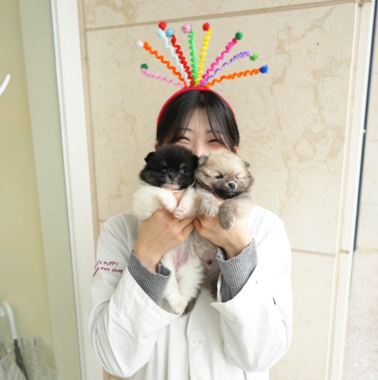 케어 매니저가 아기 강아지를 안고 있는 모습
