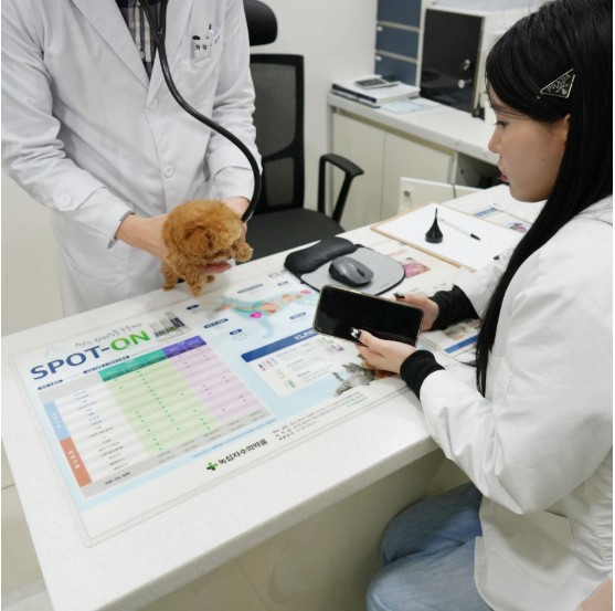 메디컬센터에서 강아지를 검진하는 모습